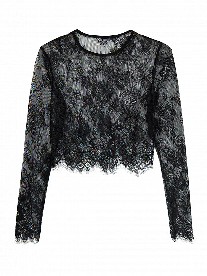 Black Long Sleeve Lace Crop Top | Choies