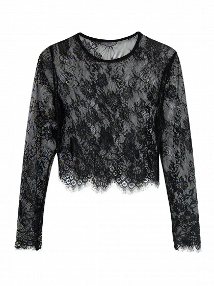 Black Long Sleeve Lace Crop Top | Choies